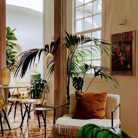 Feriehus Stunning Views In Romantic Old Town La Orotava
